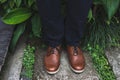 Brown leather shoes. View from above