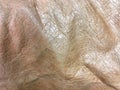 Brown leather skin as the background texture Royalty Free Stock Photo
