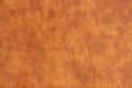 Brown leather skin background Royalty Free Stock Photo