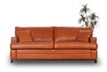 Brown leather sofa with small palm tree Royalty Free Stock Photo