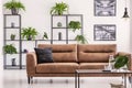 Brown leather sofa and table in white living room interior with plants on shelves and posters. Real photo Royalty Free Stock Photo