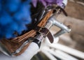 Brown leather strap buckle for bicycle basket filled with beautiful blue and purple flowers