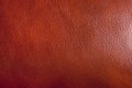 Brown Leather Texture