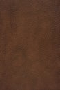 Brown leather texture
