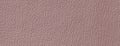 Brown leather texture background with fine grain, macro surface. Upholstery structure fabric backdrop Royalty Free Stock Photo
