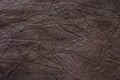 brown leather texture, close up. Wrinkled leather