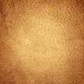 Brown leather texture