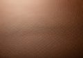 Brown leather texture with a fine grain pattern, providing a rich, warm Royalty Free Stock Photo