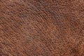 Brown leather texture with pores Royalty Free Stock Photo