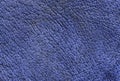 Blue leather texture with pores. Royalty Free Stock Photo