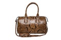 Brown leather trendy handbag