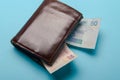 Brown leather wallet with money Royalty Free Stock Photo