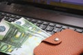 Brown leather wallet, some hundred euro banknotes on keyboard. Web shopping business concept with euro money