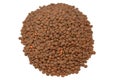 Brown lentils, The lentil (Lens culinaris or Lens esculenta), an edible legume. It is an annual plant Royalty Free Stock Photo