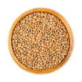 Brown lentils, mountain lentils, Lens culinaris, in a wooden bowl Royalty Free Stock Photo