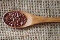 Brown linseed (flax seeds) Royalty Free Stock Photo