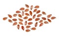 Brown linseeds isolated on white background, top view. Seeds of flax