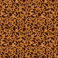 Brown Lion skin Seamless pattern Royalty Free Stock Photo