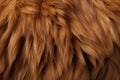 Brown llama fur, a close up capture of its exquisite texture