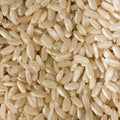 Brown long grain rice Royalty Free Stock Photo