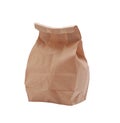 Brown Lunch Bag with clipping path