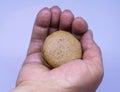 Brown macaron in one`s hand. Royalty Free Stock Photo