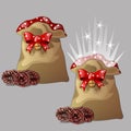 Brown magic pouch with a gift for Christmas or New year with a red ribbon bow with jingle bells and pinecones isolated Royalty Free Stock Photo