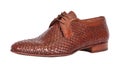 Brown male classic shoe