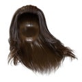 Brown Male fantasy long straight hair, 3d render, 3d illustration