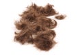 Brown male hairs isolated on the white