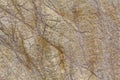 Brown marble surface close-up Royalty Free Stock Photo