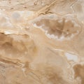 Slimy Marble: Textured Brown Wall In Fluid And Organic Style