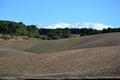 Brown meadows, trees in the middle and snowy mountains in the background. Meadows of Lopera and Sierra Nevada Royalty Free Stock Photo