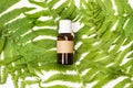 A brown medical bottle on fern leaves Royalty Free Stock Photo