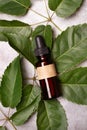 Brown medical bottle on green leaves on a gray background Royalty Free Stock Photo