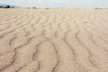 Brown medicinal sand useful for human joints on the beach ada bojana