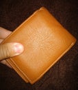 Brown Men Leather Wallet