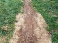 Brown mesh or netting and green grass