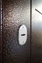 Brown Metall Door With Gold Lock And Handle Royalty Free Stock Photo