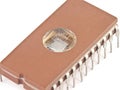 brown microchip