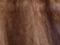 Brown mink fur texture background Royalty Free Stock Photo