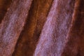 Background of the fur of a sheared mink.