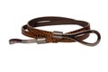 Brown modern belt Royalty Free Stock Photo