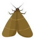 Brown moth, icon