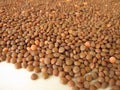 Mountain lentils distributed flatly on a wooden board Royalty Free Stock Photo