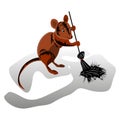 Brown mouse sweeps a broom, cleaning territory, character on a w