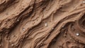 Brown muddy surface with intricate, wavy patterns and small droplets scattered across
