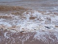 Brown muddy waves roll onto the shore with white foam, creating bizarre patterns. Muddy surface of seawater due to strong wind