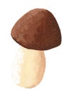 Brown mushroom Royalty Free Stock Photo