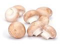 Brown mushroom Royalty Free Stock Photo